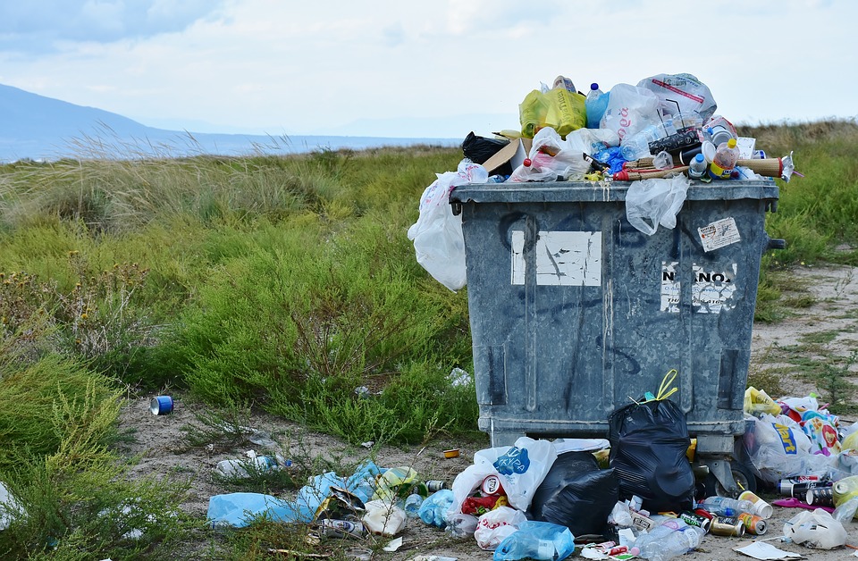 Problem dzikich wysypisk śmieci